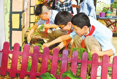 把勞動(dòng)課開在廣闊的田野上——“特色教育別樣精彩”系列報(bào)道之一