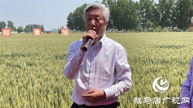2023年“鄭麥1860”小麥現(xiàn)場(chǎng)觀摩會(huì)在駐馬店成功召開