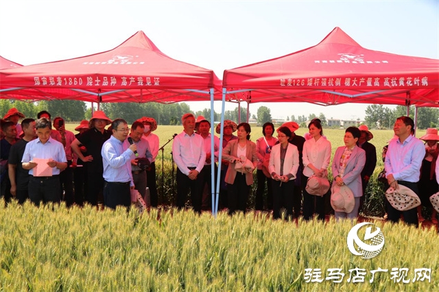 2023年“鄭麥1860”小麥現(xiàn)場(chǎng)觀摩會(huì)在駐馬店成功召開