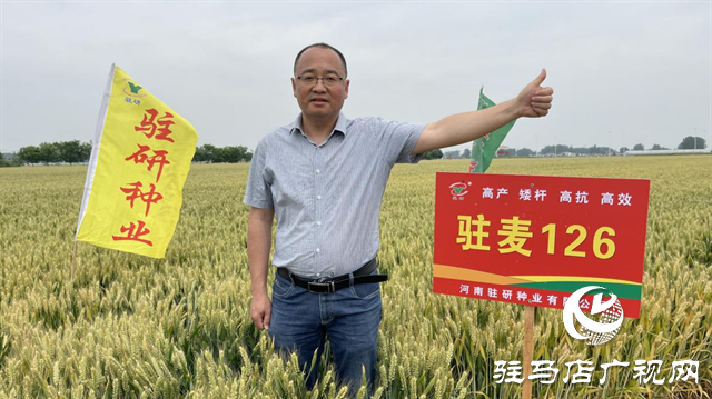 【喜訊】熱烈祝賀河南駐研種業(yè)小麥新品種“駐麥126”通過(guò)國(guó)審！
