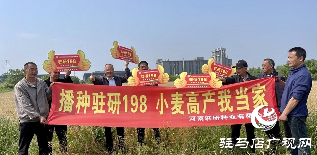 駐研種業(yè)捷報頻傳：駐麥126、駐麥156、駐研198相繼通過審定