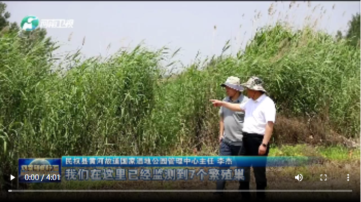  民權(quán)：縣里有了博士團(tuán) 丨一線問計·引才