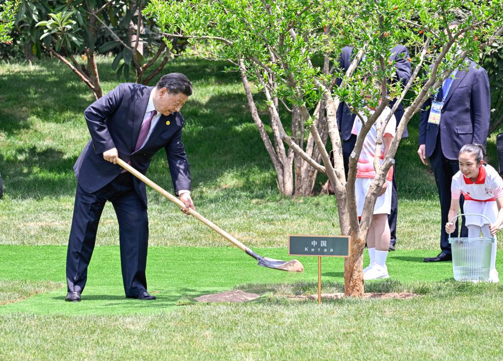 中國—中亞峰會丨這些年，習(xí)近平主席種下這些友誼之樹