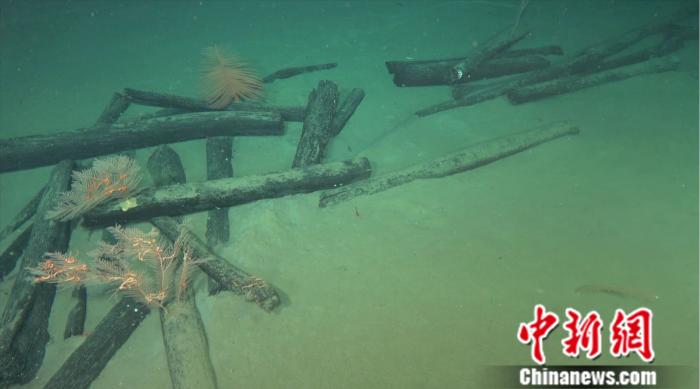 考古重大發(fā)現(xiàn)！南海1500米深度海域發(fā)現(xiàn)古代沉船