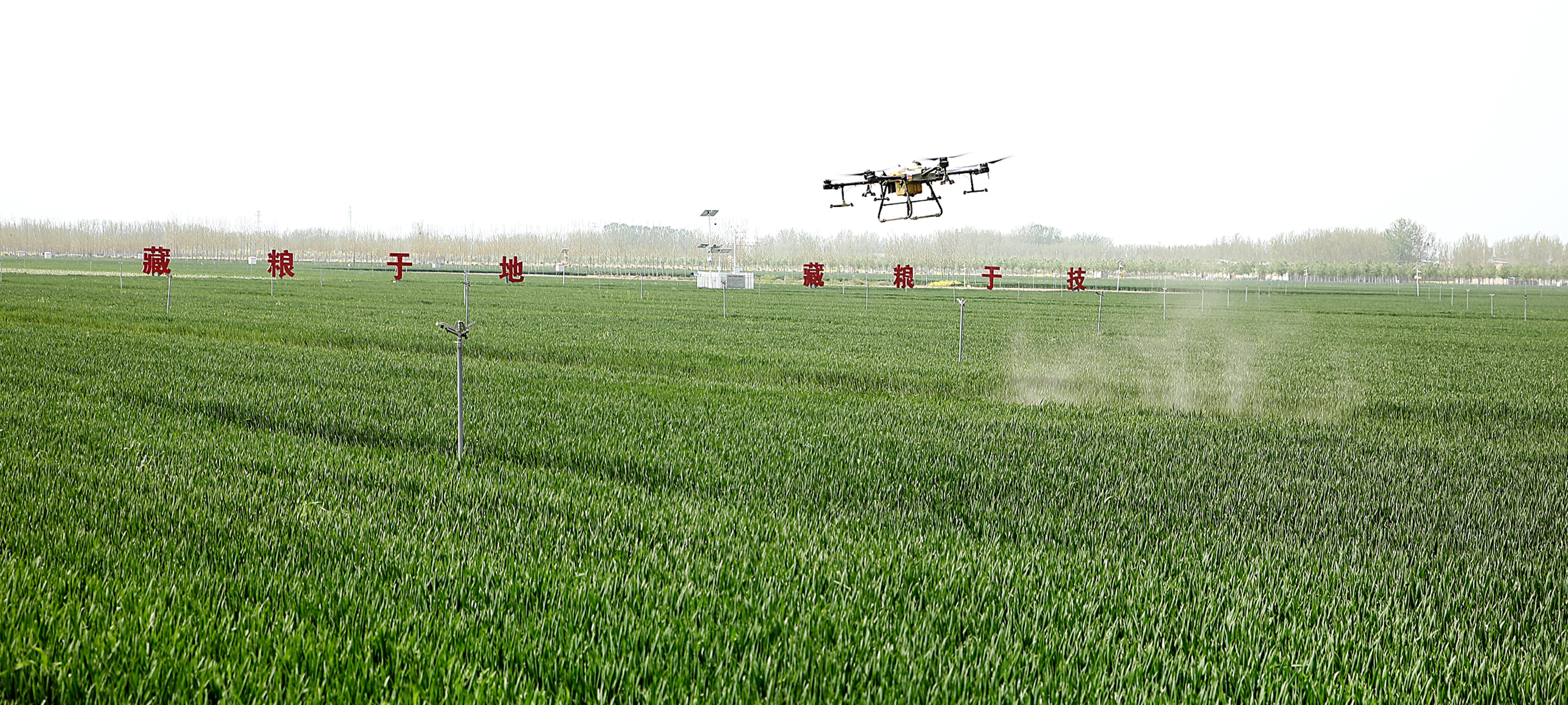 奮發(fā)有為推進中國式現(xiàn)代化建設(shè)河南實踐丨何言:走出人口大省高質(zhì)量發(fā)展新路