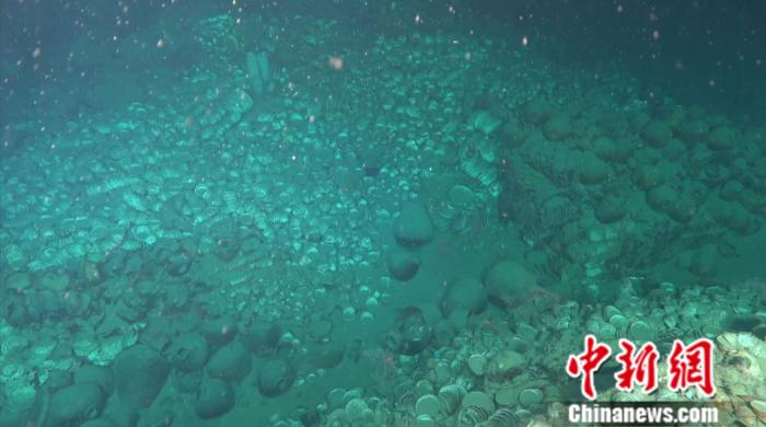 考古重大發(fā)現(xiàn)！南海1500米深度海域發(fā)現(xiàn)古代沉船