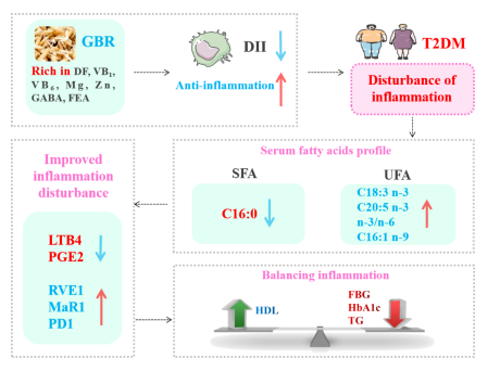 發(fā)芽糙米改善2型糖尿病，研究人員分析了原因