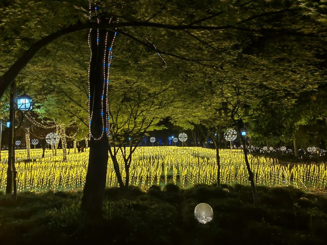 使命如山&mdash;&mdash;&ldquo;千萬工程&rdquo;二十年記（中）