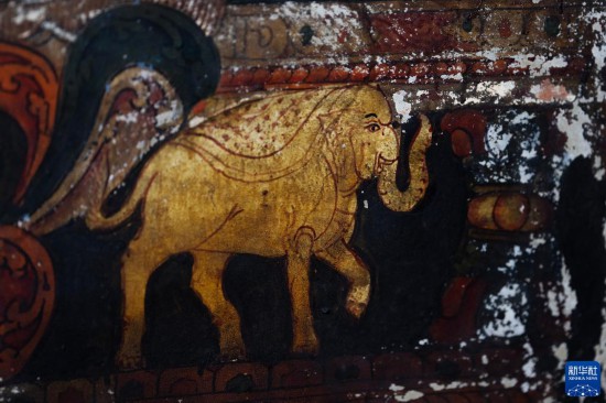 這么可愛(ài)的國(guó)寶，你見(jiàn)過(guò)嗎？