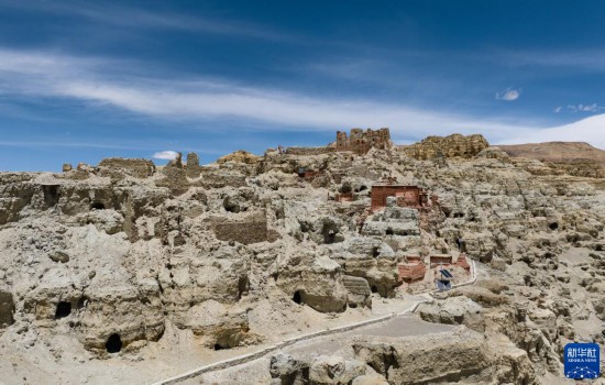 這么可愛的國寶，你見過嗎？