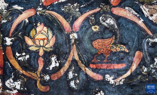 這么可愛的國寶，你見過嗎？