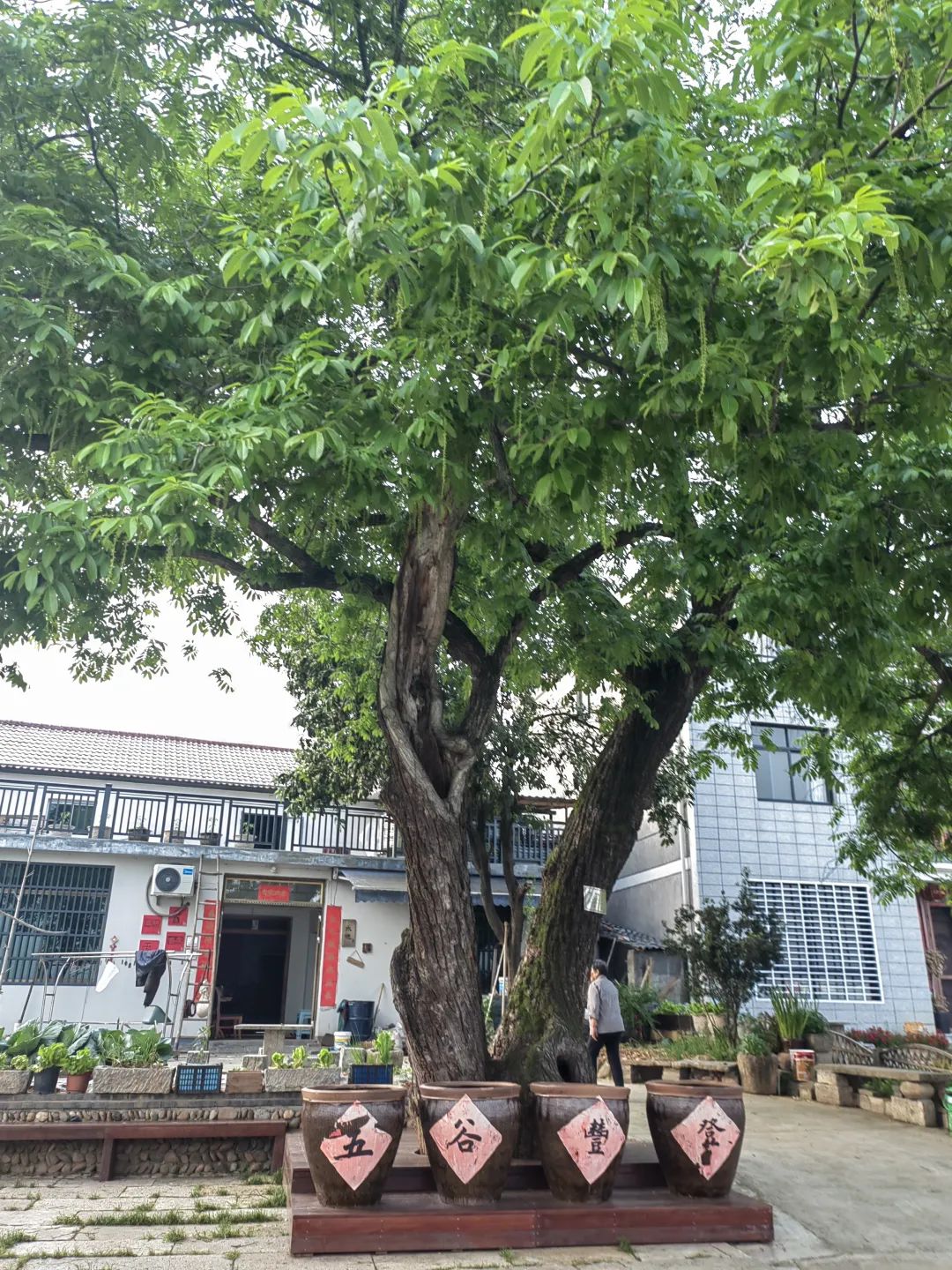 使命如山&mdash;&mdash;&ldquo;千萬工程&rdquo;二十年記（中）