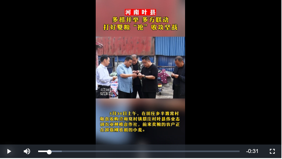 護(hù)航“三夏”丨河南葉縣:雨后奪糧忙搶收