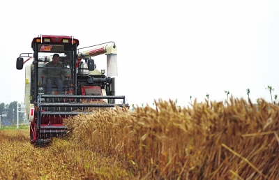 河南省212個“三夏”機收熱線“受理”了哪些問題？