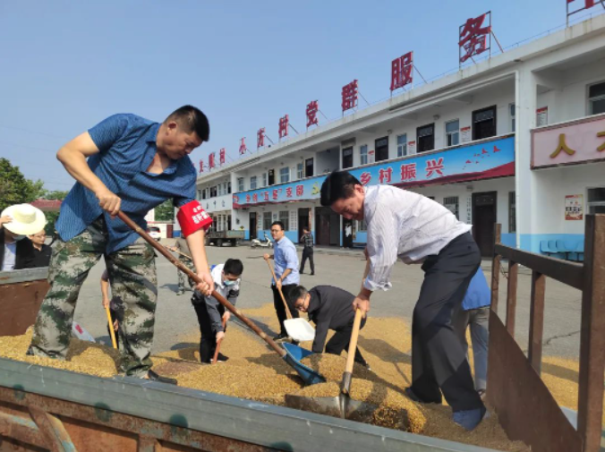 風(fēng)吹麥浪黨旗紅 助農(nóng)惠民促振興——市紀(jì)委監(jiān)委機(jī)關(guān)黨員突擊隊(duì)助力“三夏”生產(chǎn)