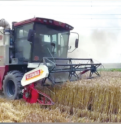 直擊駐馬店、南陽(yáng)、平頂山、信陽(yáng)四地麥?zhǔn)找痪€ 見證奔跑的“三夏”