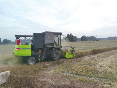 直擊駐馬店、南陽(yáng)、平頂山、信陽(yáng)四地麥?zhǔn)找痪€ 見證奔跑的“三夏”