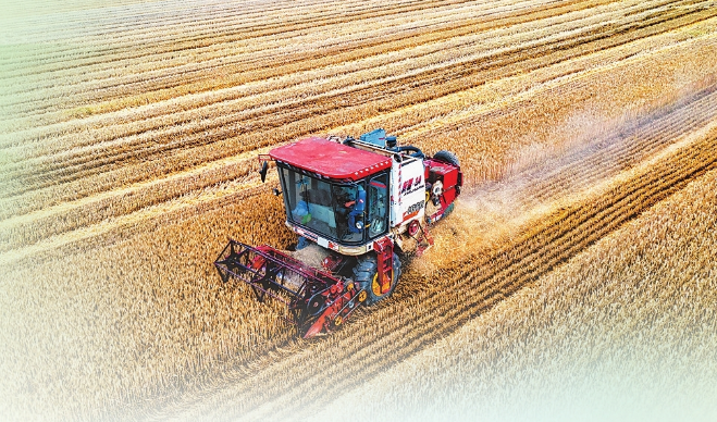 全力以赴戰(zhàn)&ldquo;三夏&rdquo;丨連續(xù)兩天機(jī)收面積超過1000萬畝 搶收小麥 河南拼了