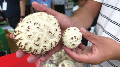 1104家企業(yè)、3600多種產(chǎn)品，參展規(guī)模創(chuàng)歷年之最 河南舉辦“土特產(chǎn)”嘉年華