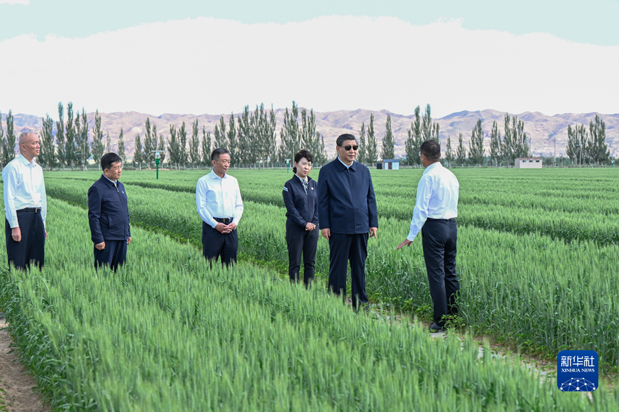 習(xí)近平在內(nèi)蒙古巴彥淖爾考察并主持召開加強荒漠化綜合防治和推進(jìn)“三北”等重點生態(tài)工程建設(shè)座談會