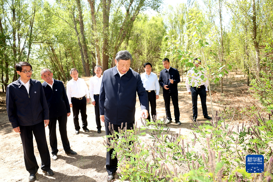 習(xí)近平在內(nèi)蒙古巴彥淖爾考察并主持召開加強荒漠化綜合防治和推進(jìn)“三北”等重點生態(tài)工程建設(shè)座談會