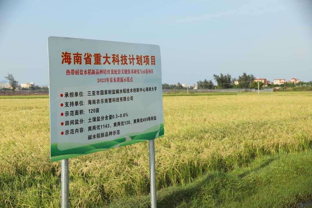 習近平總書記關切事丨做好這篇“大文章”，田間地頭有答卷