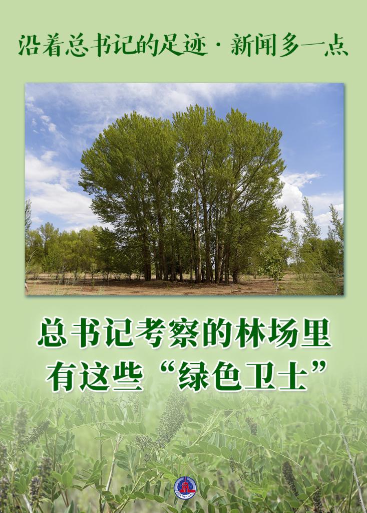 沿著總書(shū)記的足跡·新聞多一點(diǎn)｜總書(shū)記考察的林場(chǎng)里，有這些“綠色衛(wèi)士”