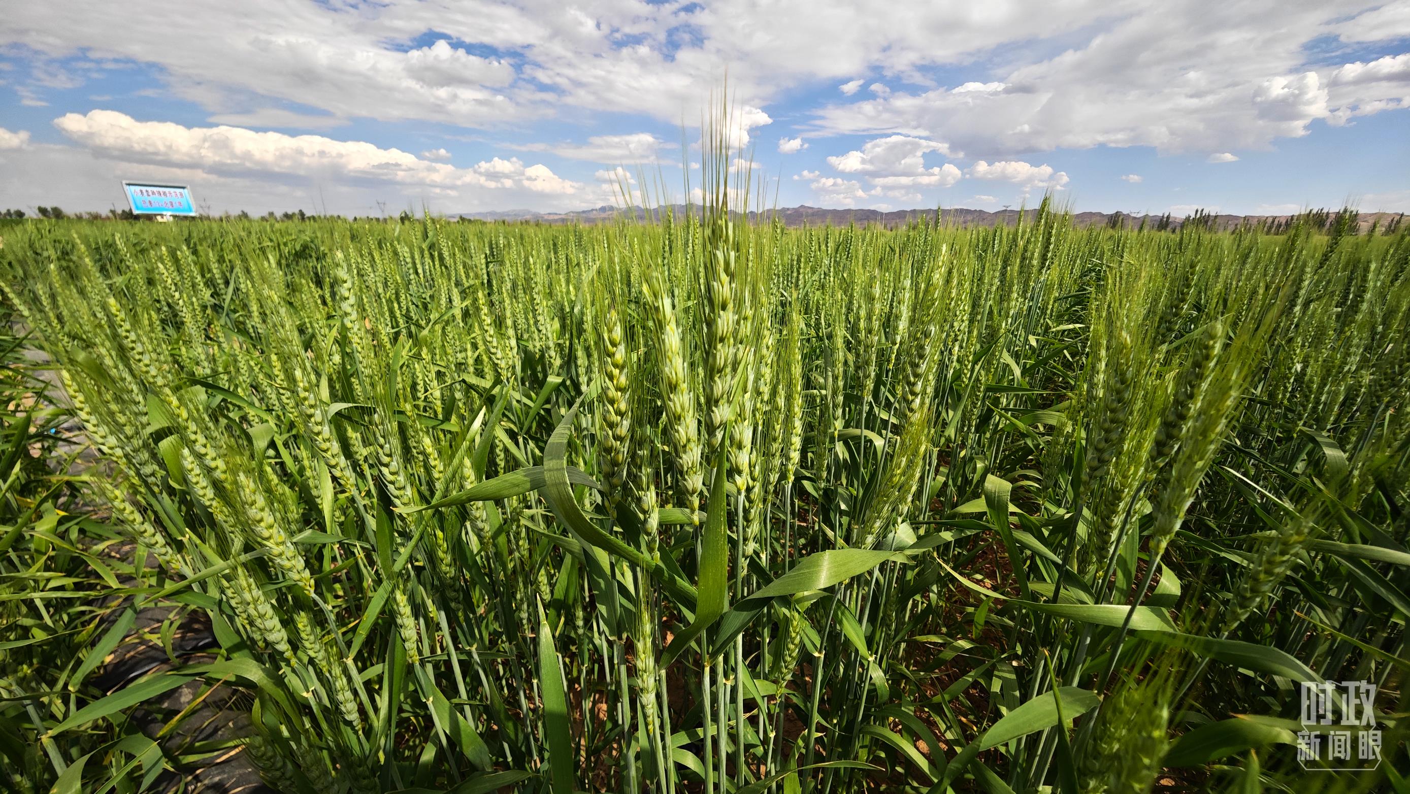 時政新聞眼丨習(xí)近平在內(nèi)蒙古考察，這些話語令人深思