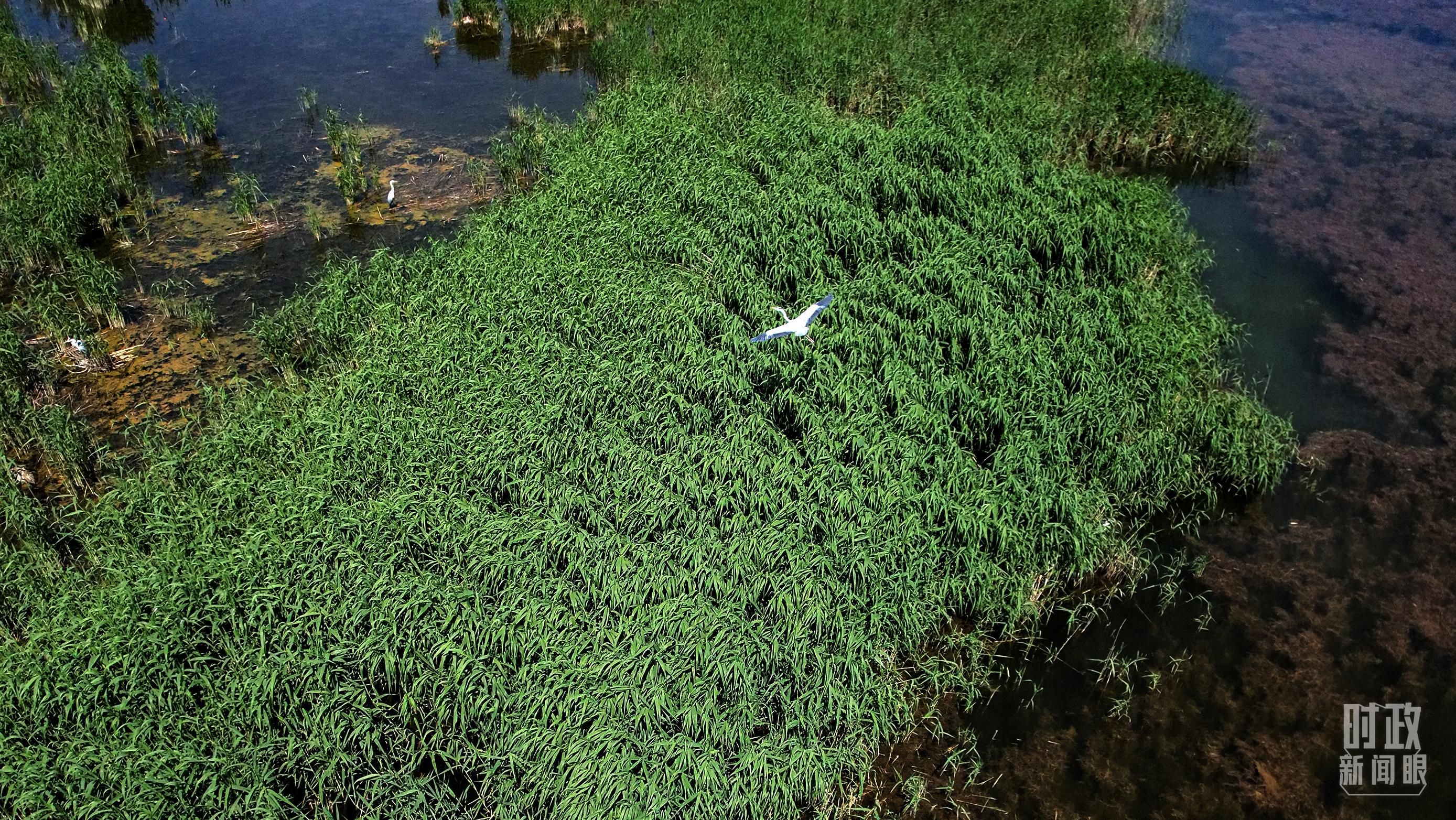 時政新聞眼丨習(xí)近平在內(nèi)蒙古考察，這些話語令人深思