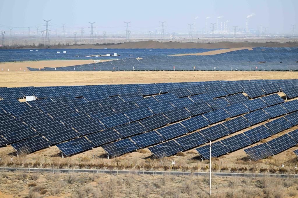 潮頭觀瀾丨祖國(guó)北疆的綠色答卷