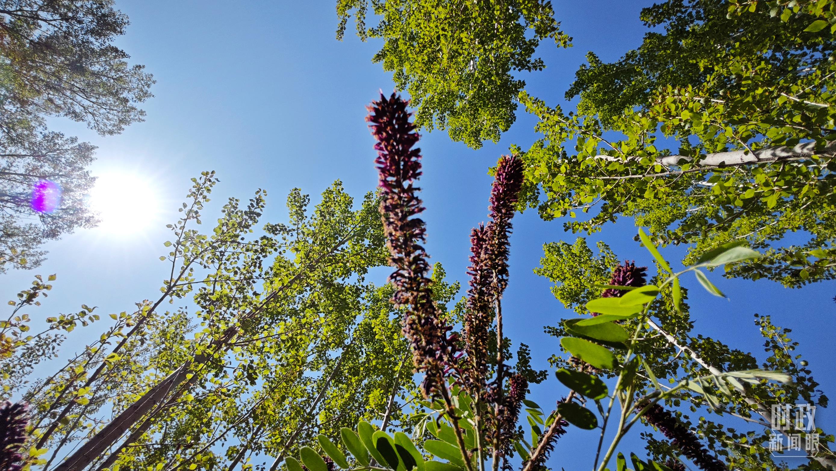 時政新聞眼丨習(xí)近平在內(nèi)蒙古考察，這些話語令人深思