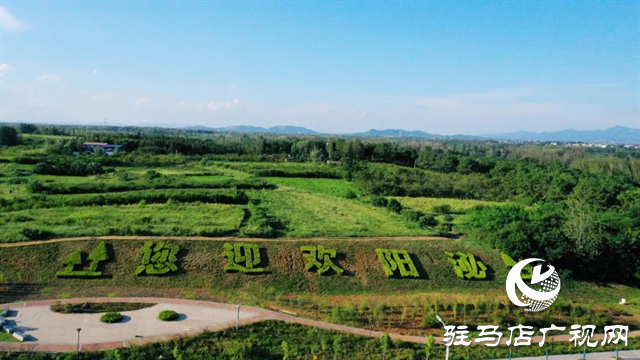 六月的泌陽，美出圈了！