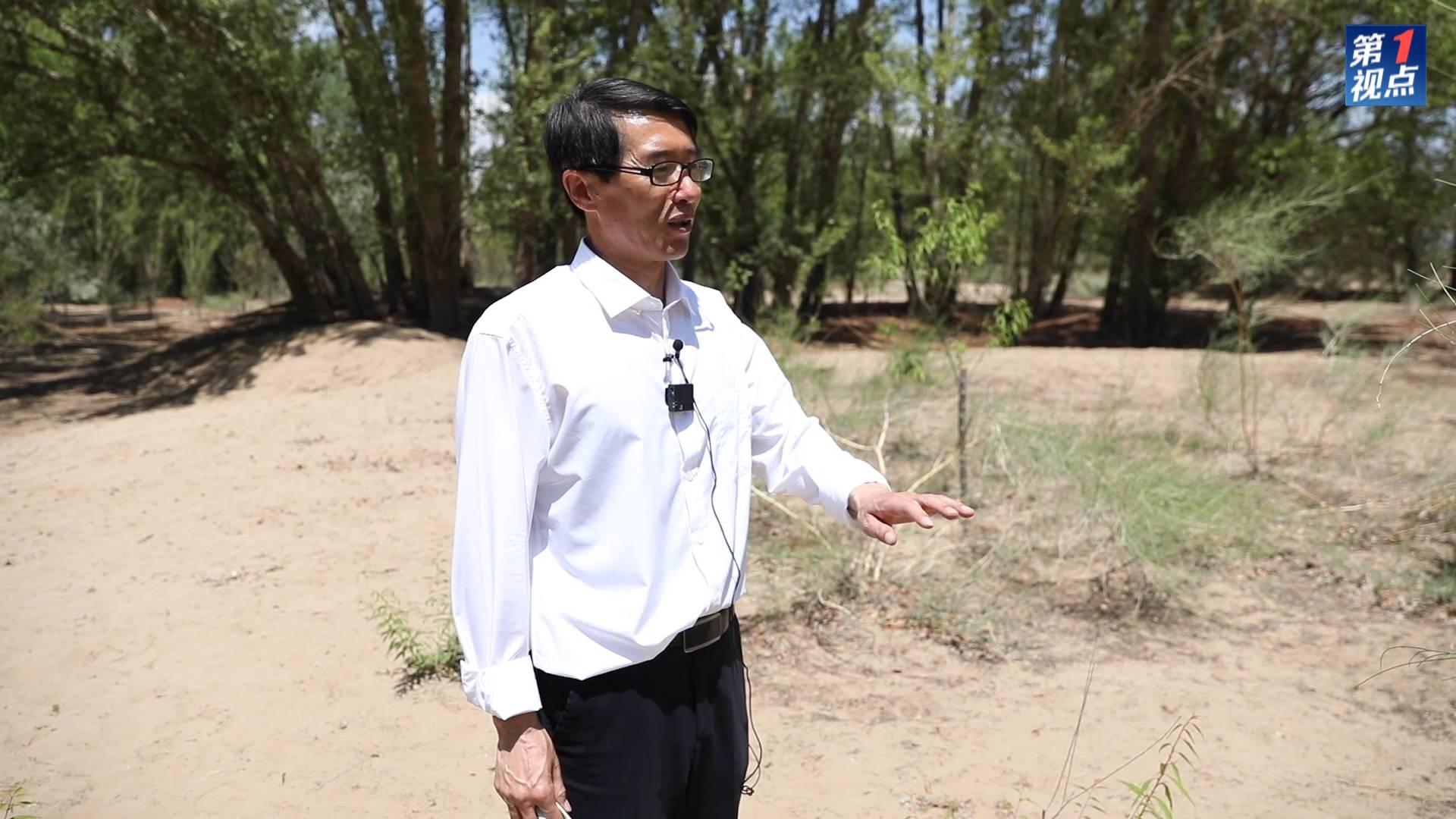 第1視點(diǎn)｜深情系北疆