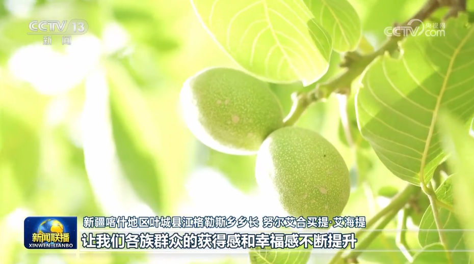 把握戰(zhàn)略定位堅(jiān)持綠色發(fā)展 奮力書寫中國(guó)式現(xiàn)代化新篇章——習(xí)近平總書記在內(nèi)蒙古考察時(shí)的重要講話在廣大干部群眾中引起強(qiáng)烈反響 