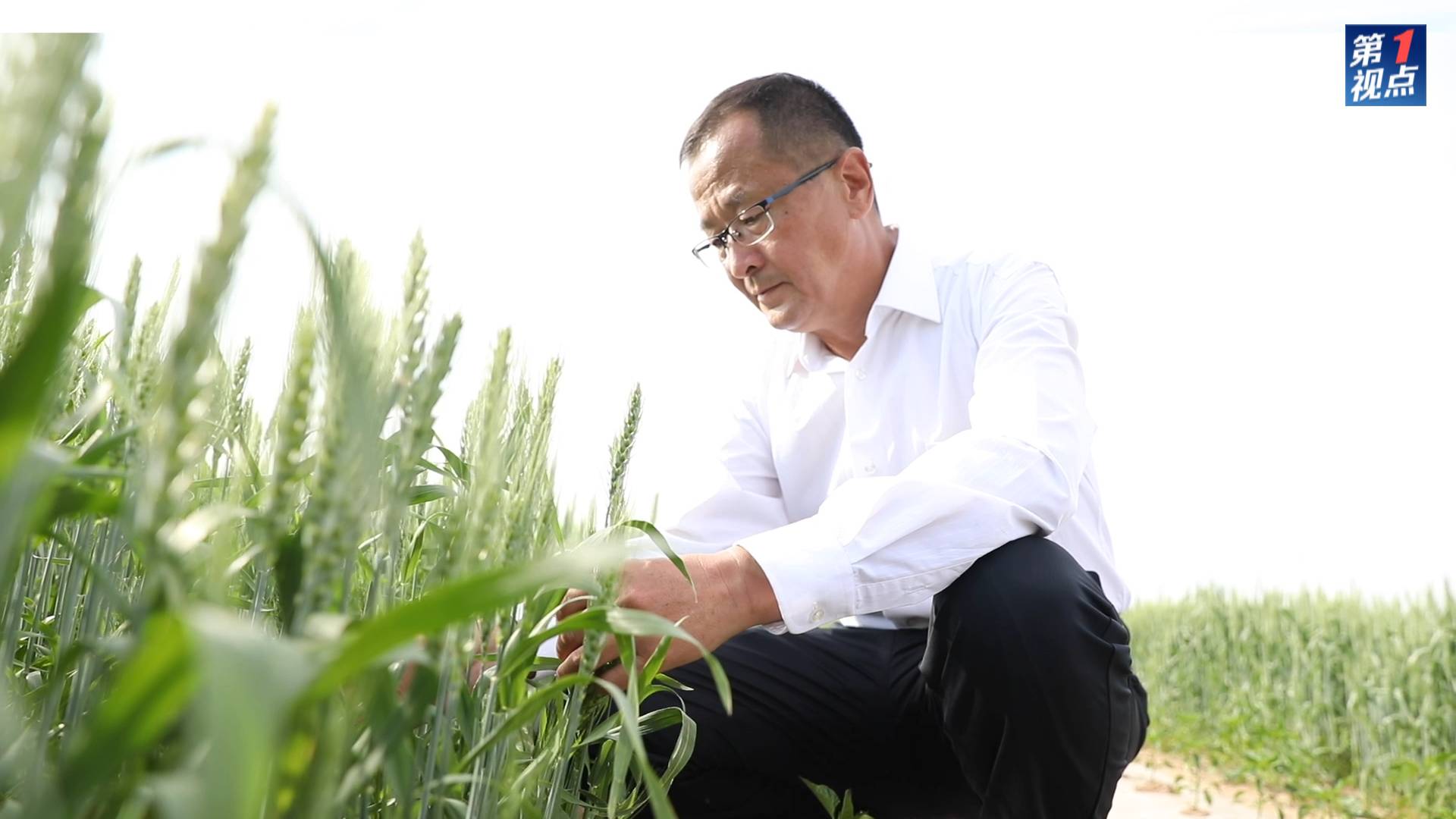 第1視點(diǎn)｜深情系北疆