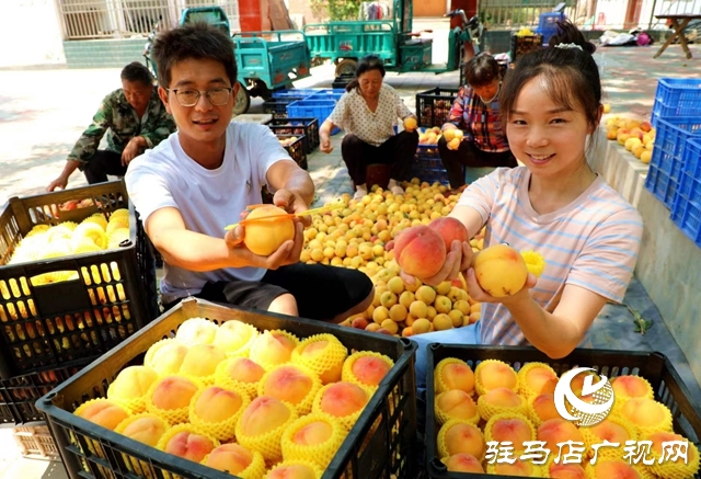 駐馬店市驛城區(qū):返鄉(xiāng)創(chuàng)業(yè)大學(xué)生做鄉(xiāng)村振興“新農(nóng)人”