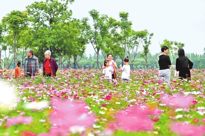 新時代 新征程 新偉業(yè)丨國際花園城市競賽，信陽憑啥“蟾宮折桂”