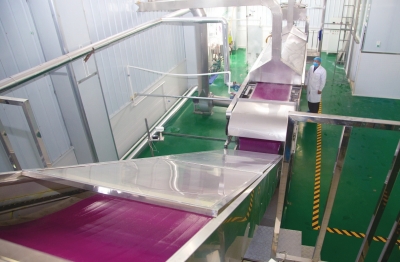 小紅薯大產業(yè)，一根粉條帶動一座城 禹州“三”粉產業(yè)化崛起之路還有多遠？