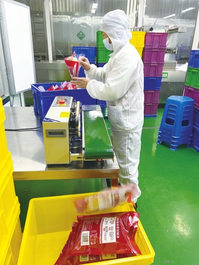 小紅薯大產業(yè)，一根粉條帶動一座城 禹州“三”粉產業(yè)化崛起之路還有多遠？