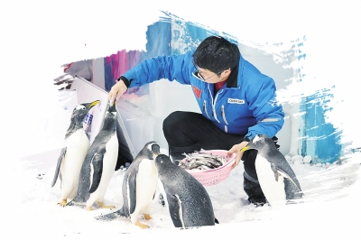 優(yōu)惠福利、避暑秘境、游玩攻略……想好暑期去哪兒玩了嗎？