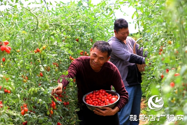 河南駐馬店驛城區(qū)：&ldquo;魏莊燒烤&rdquo;激發(fā)鄉(xiāng)村經(jīng)濟(jì)新活力