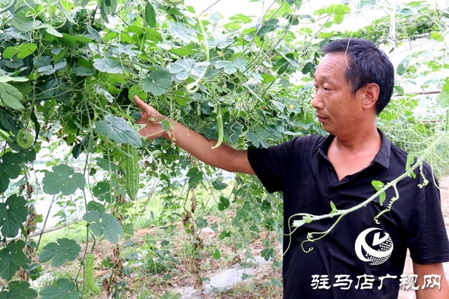 驛城區(qū)古城街道馬園社區(qū)任志強(qiáng)：讓綠色產(chǎn)業(yè)賦能鄉(xiāng)村振興