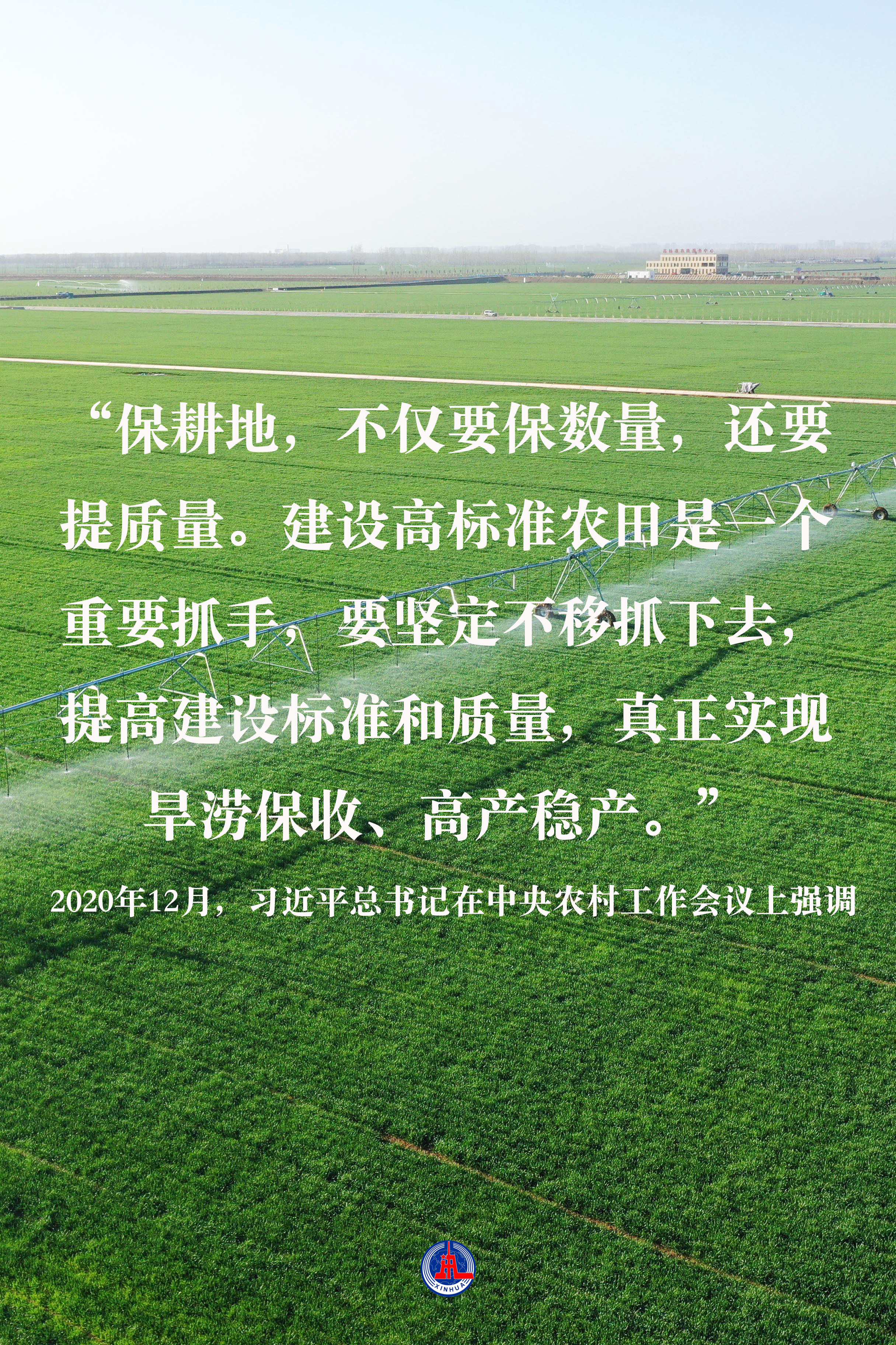 習(xí)近平總書記關(guān)切事｜藏糧于地、藏糧于技，筑牢豐收之基