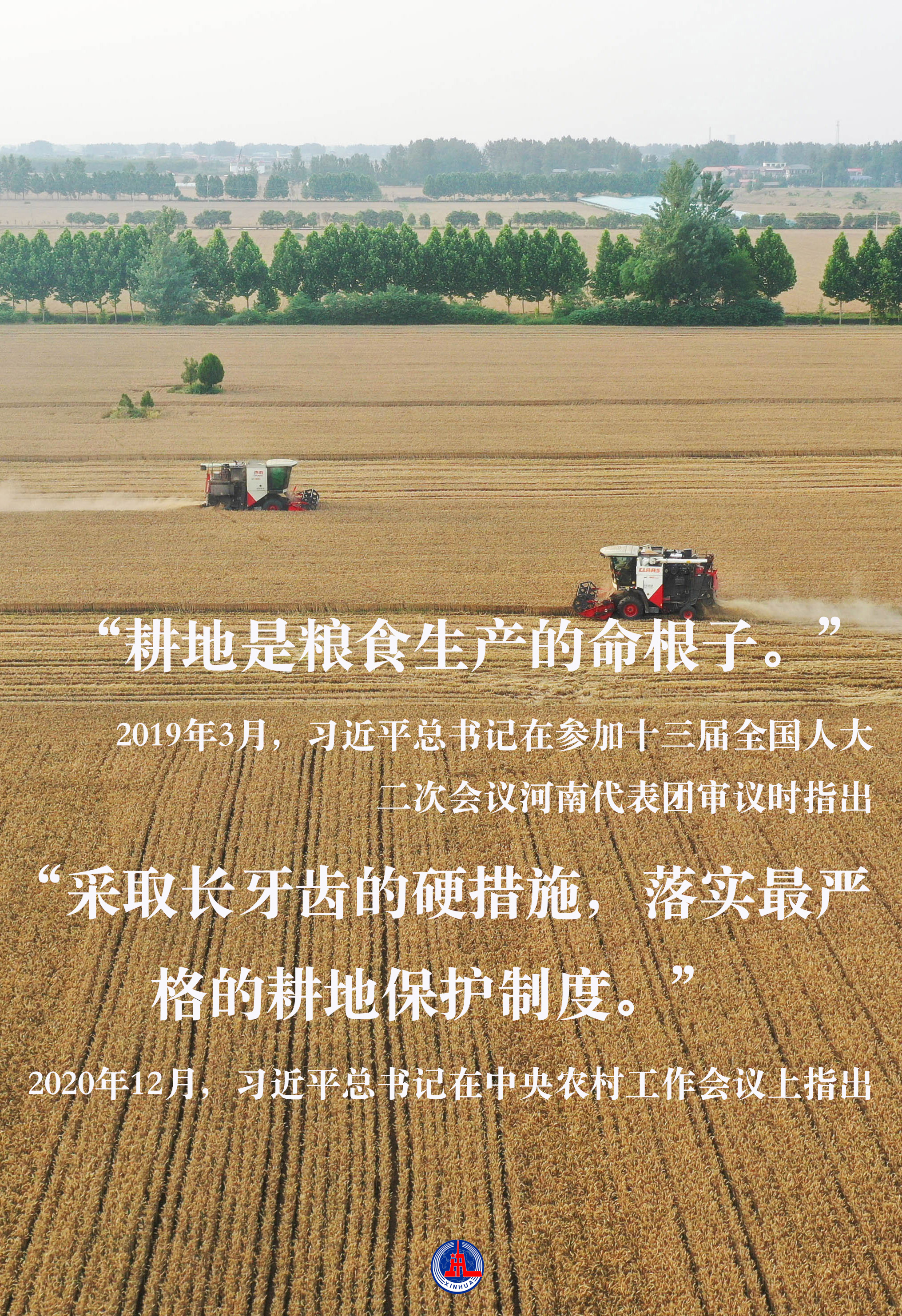 習(xí)近平總書記關(guān)切事｜藏糧于地、藏糧于技，筑牢豐收之基