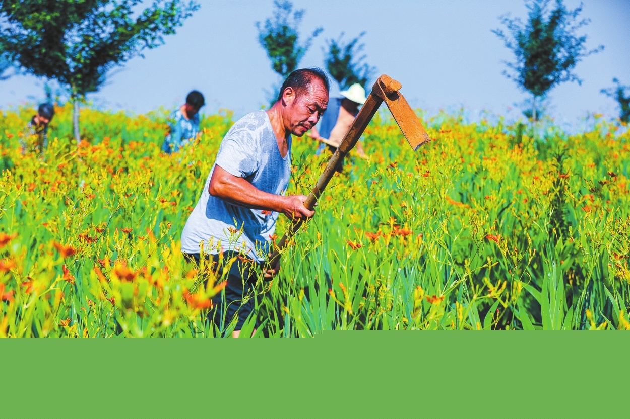 戰(zhàn)高溫 搶農(nóng)時