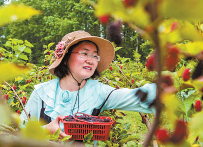 我國(guó)國(guó)家級(jí)旅游度假區(qū)數(shù)量已達(dá)六十三家——  激發(fā)度假旅游消費(fèi)更大潛力（消費(fèi)視窗）