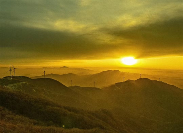 河南泌陽有個白云山！這些人免門票…