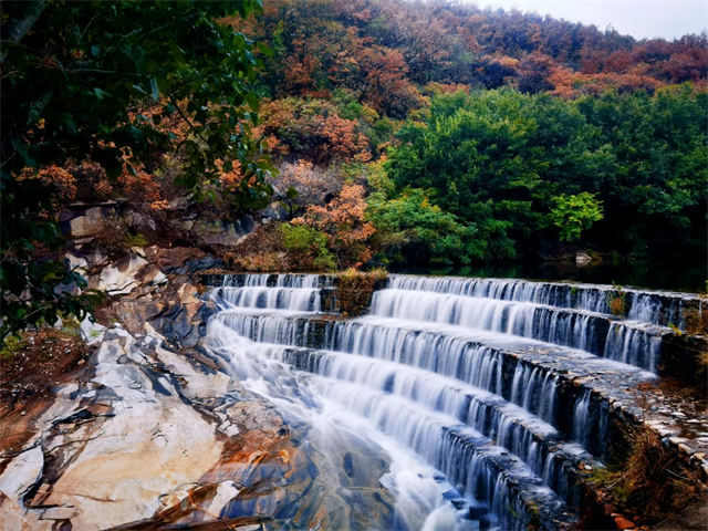 河南泌陽有個白云山！這些人免門票…