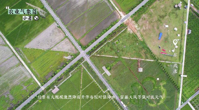 小暑——盛夏伊始，萬物蔥郁