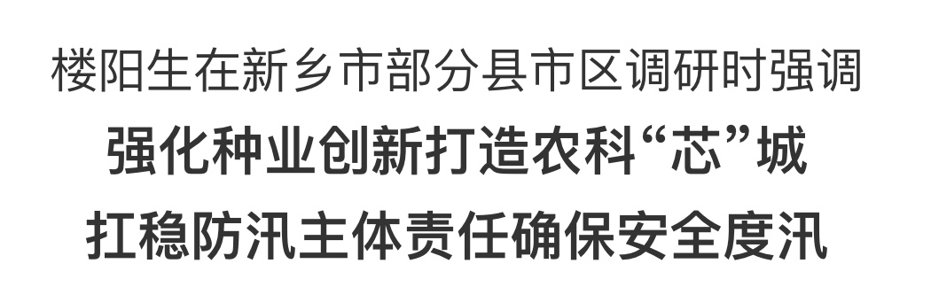 樓陽生在新鄉(xiāng)市部分縣市區(qū)調(diào)研